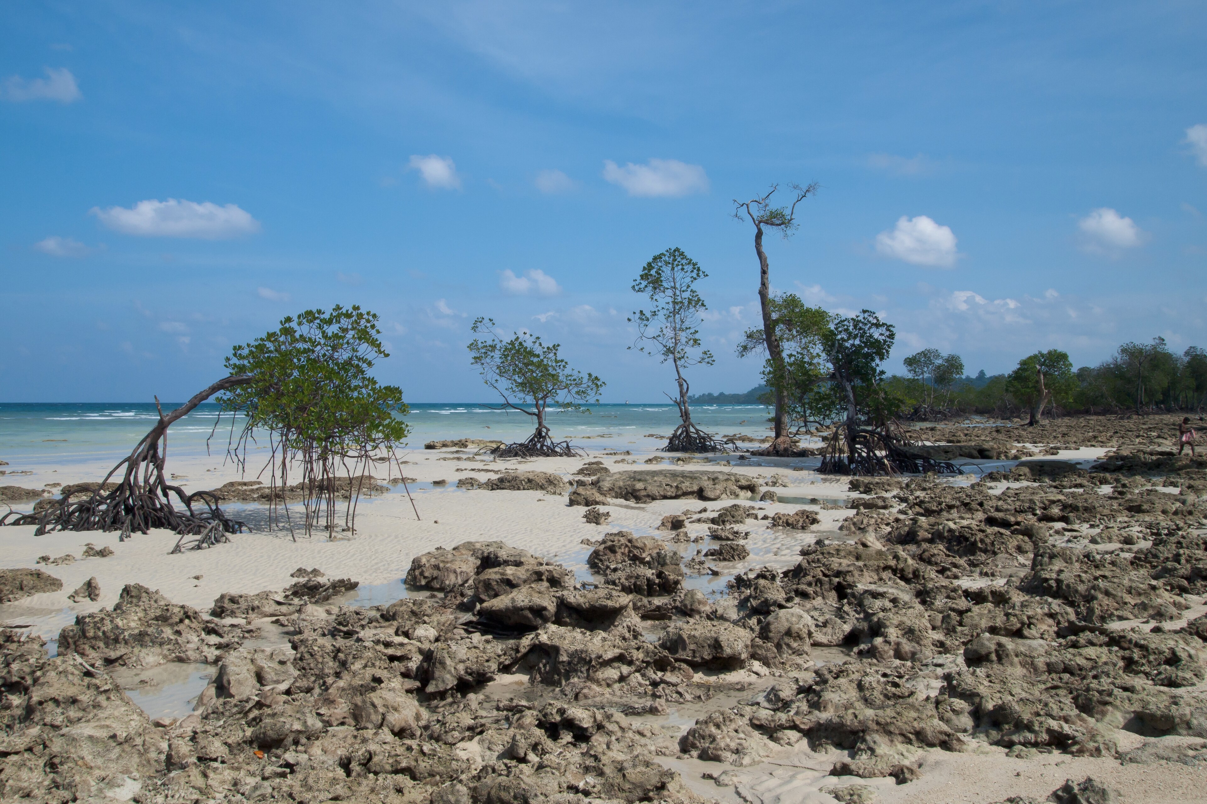 Broken Ledge dive site — reef near Havelock, Andaman