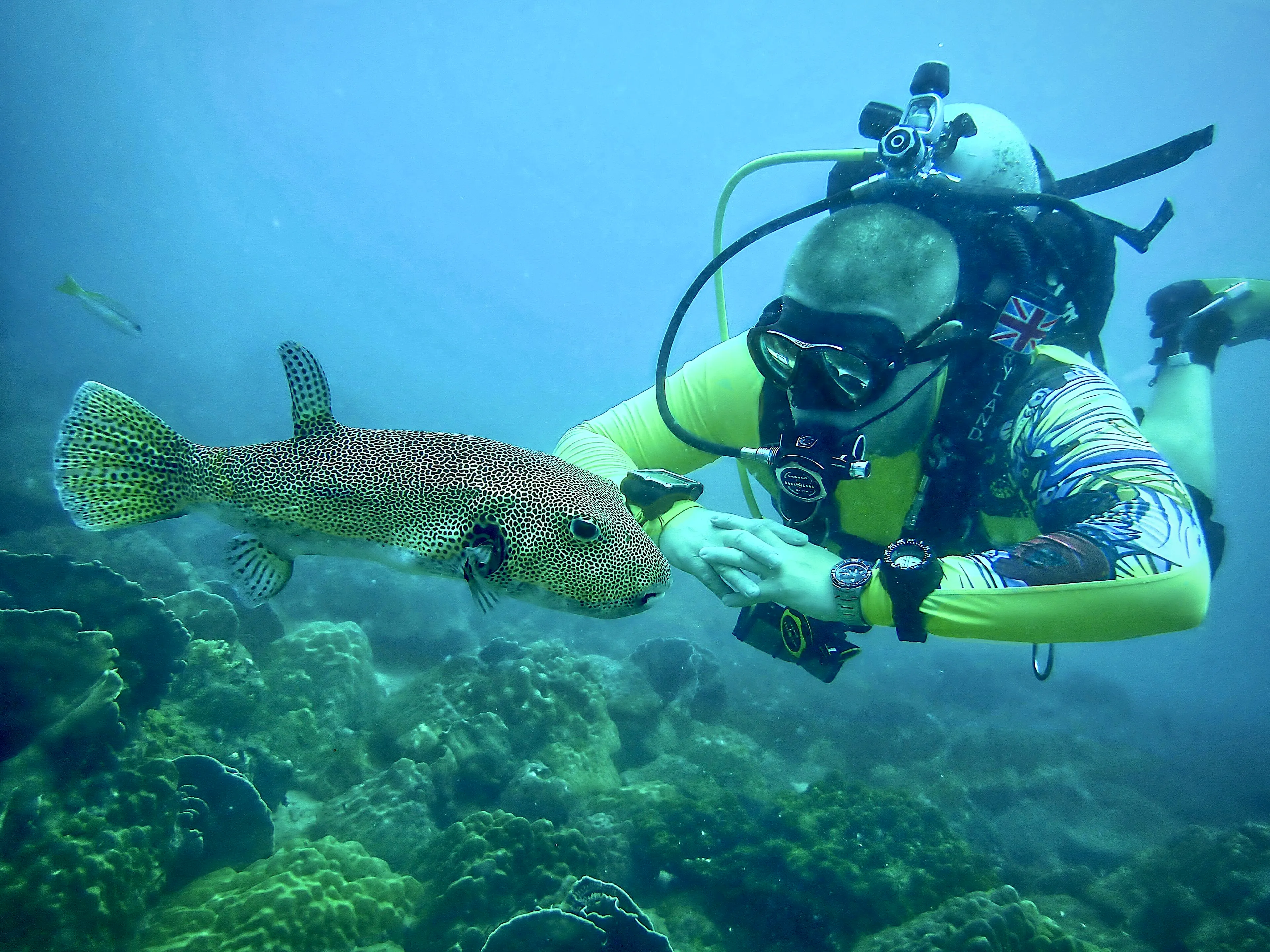 Dixons Pinnacle dive site — reef and marine life near Havelock, Andaman