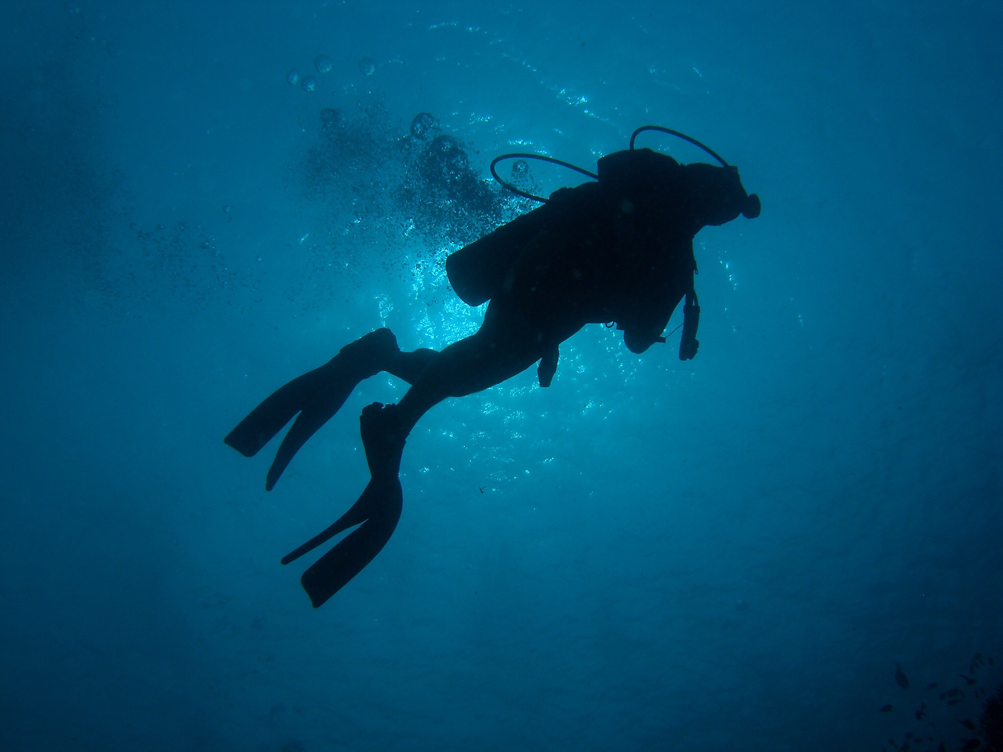 1 Day / 2 Fun Dives — scuba diving in Havelock, Andaman