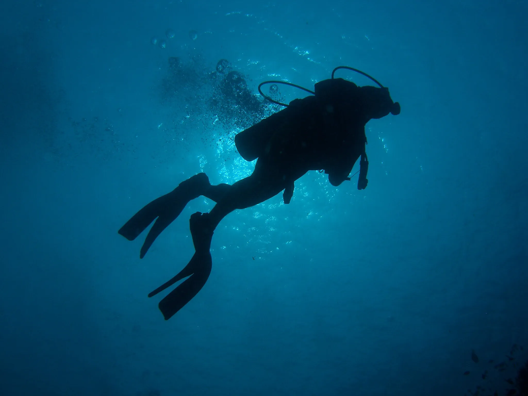 1 Day / 2 Fun Dives — scuba diving in Havelock, Andaman
