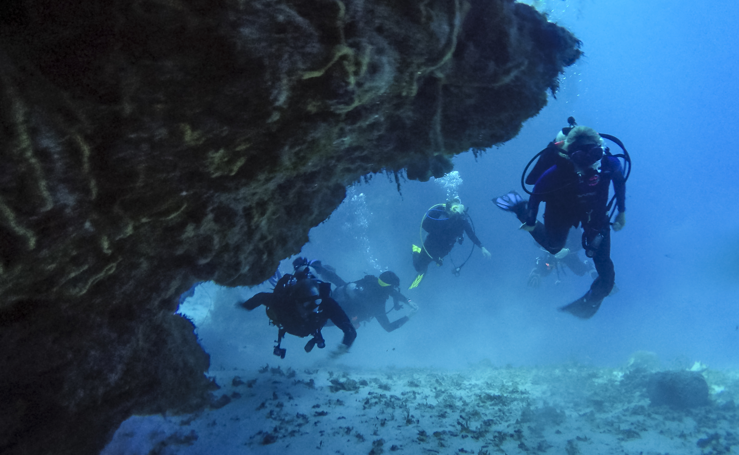 2 Day / 4 Fun Dives — scuba diving in Havelock, Andaman