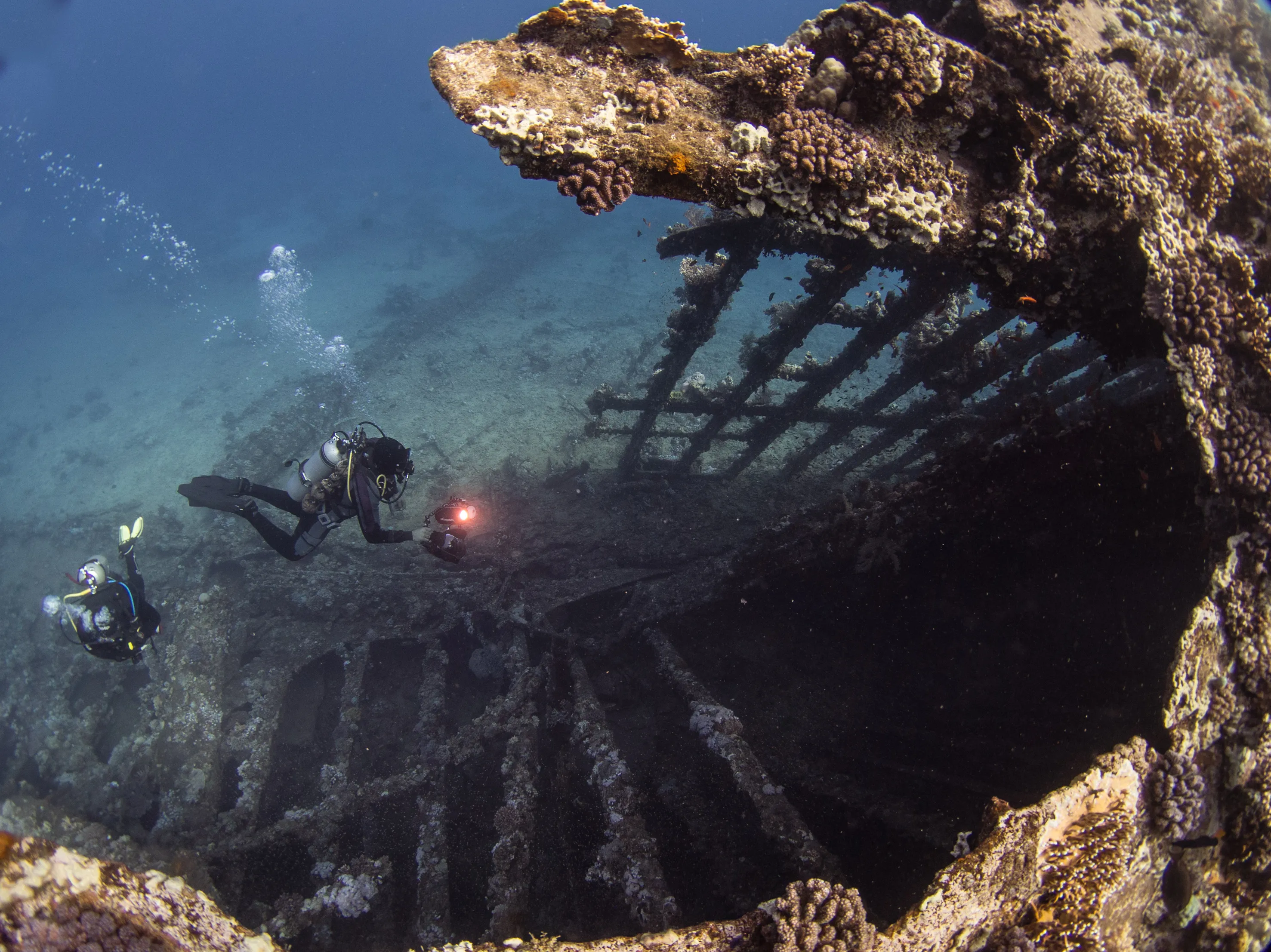 Scuba diver gliding over a coral reef in the clear waters of Havelock, Andaman