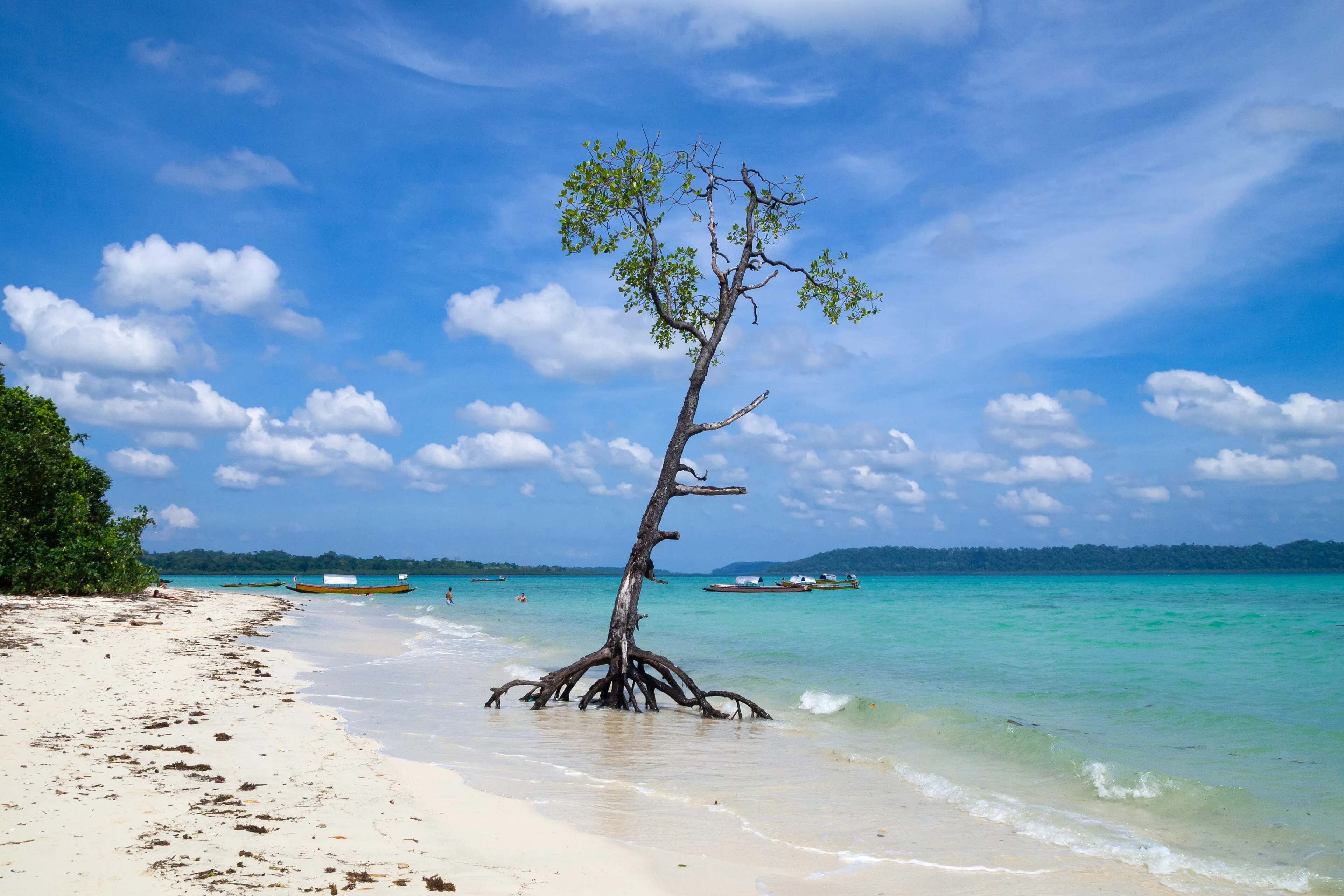 Divers descending over a coral reef in Havelock, Andaman