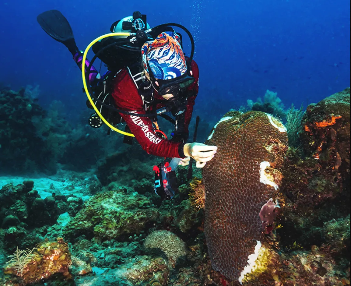 Colourful coral reef teeming with fish in Havelock, Andaman