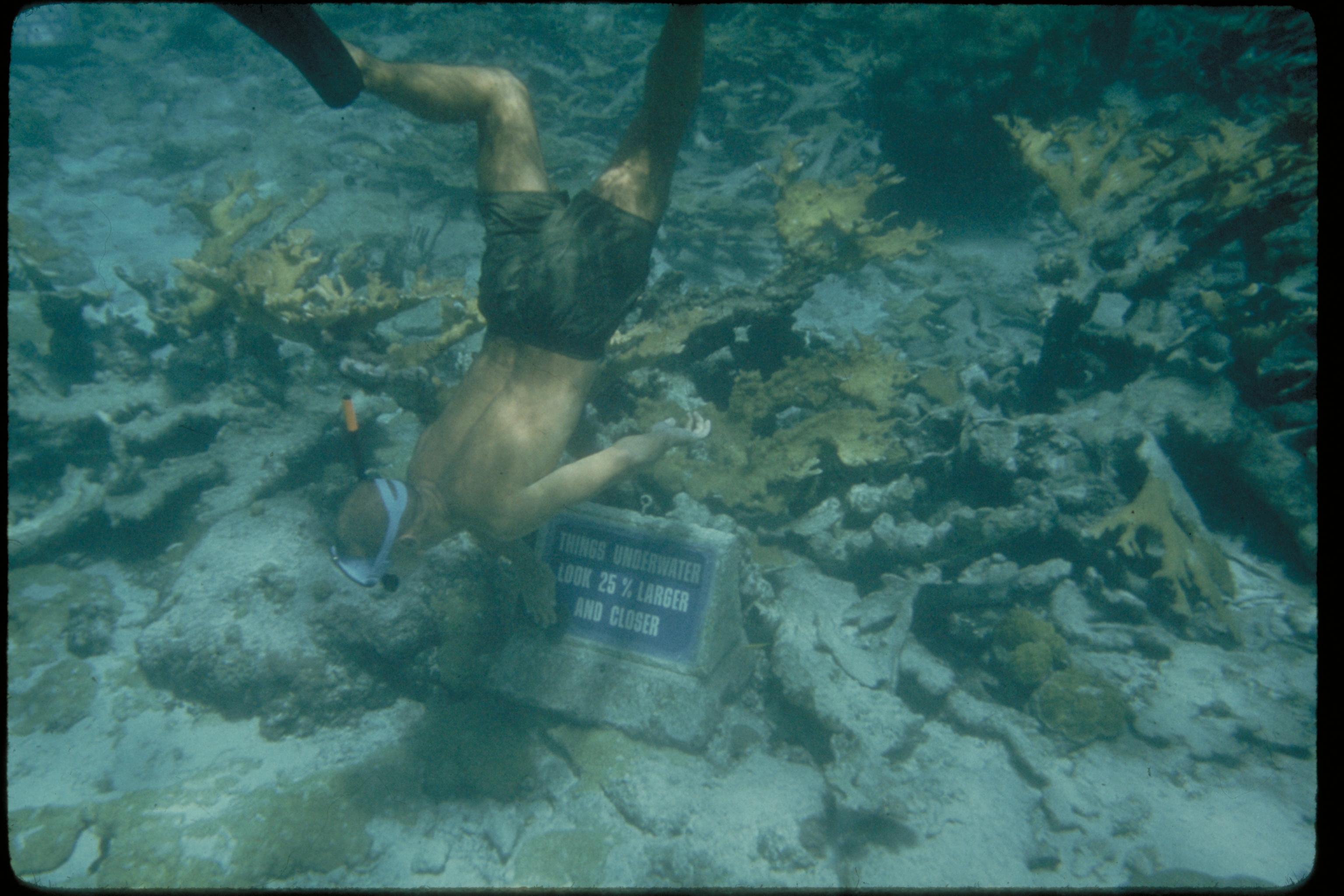 Junction dive site — reef near Havelock, Andaman