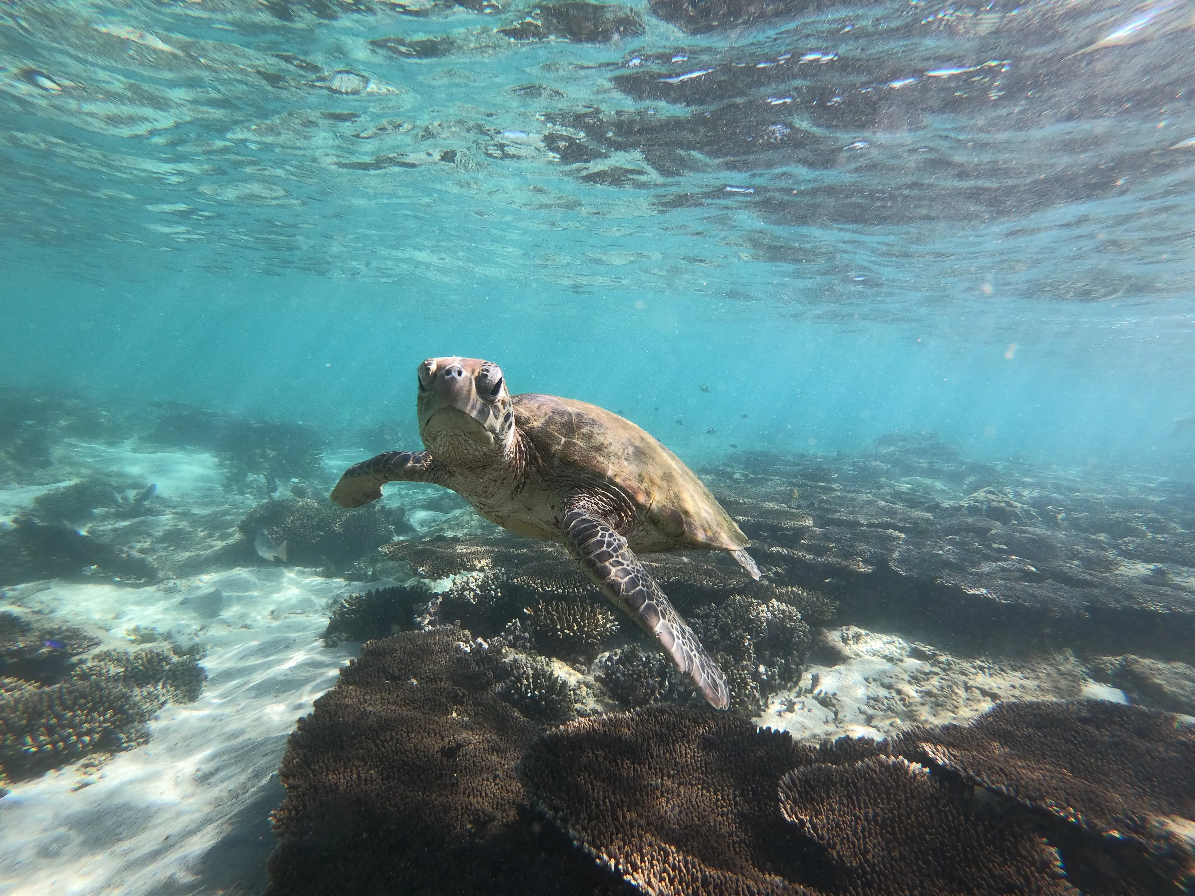 Discover Scuba Diving — Lighthouse — scuba diving in Havelock, Andaman