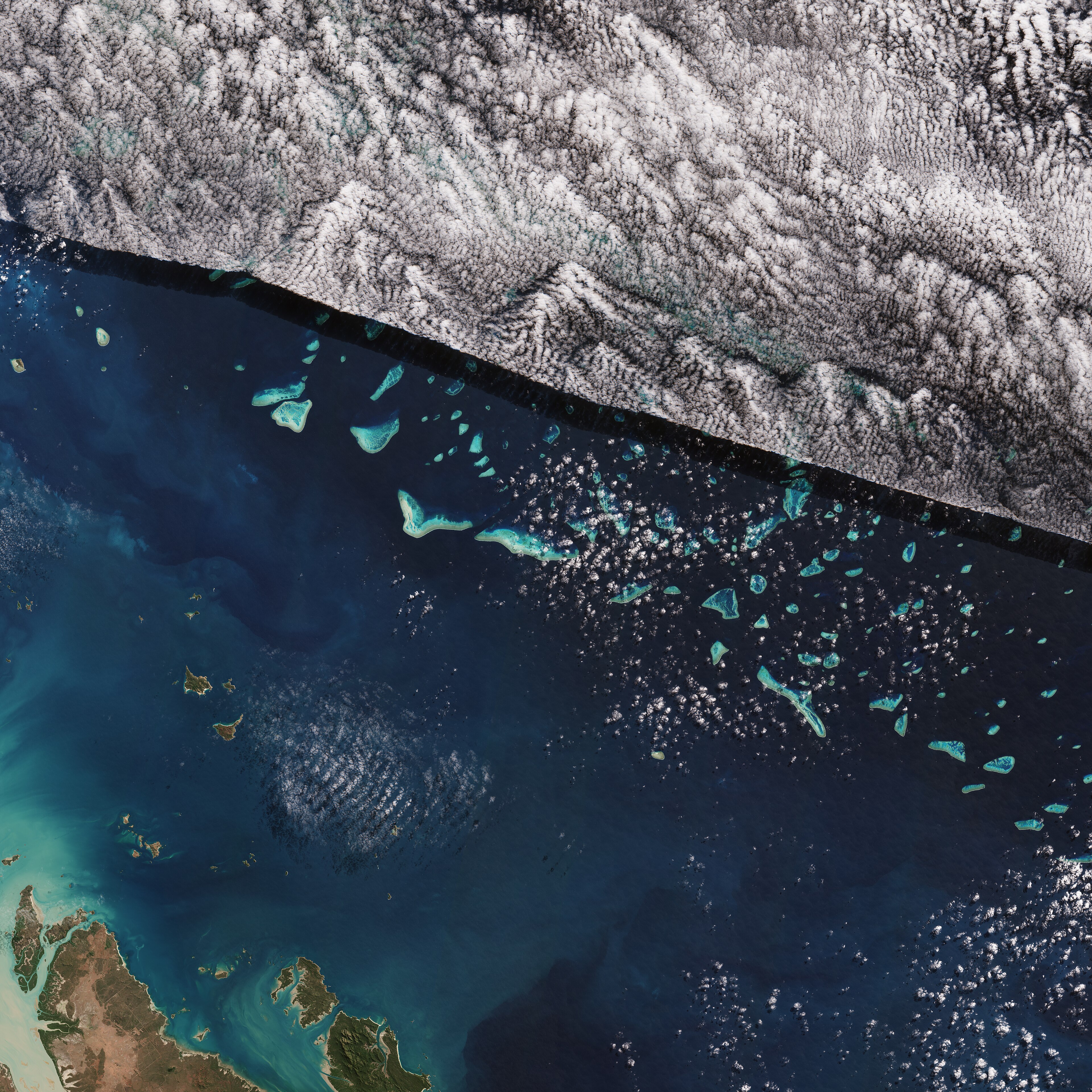 Minerva Ledge dive site — reef near Havelock, Andaman