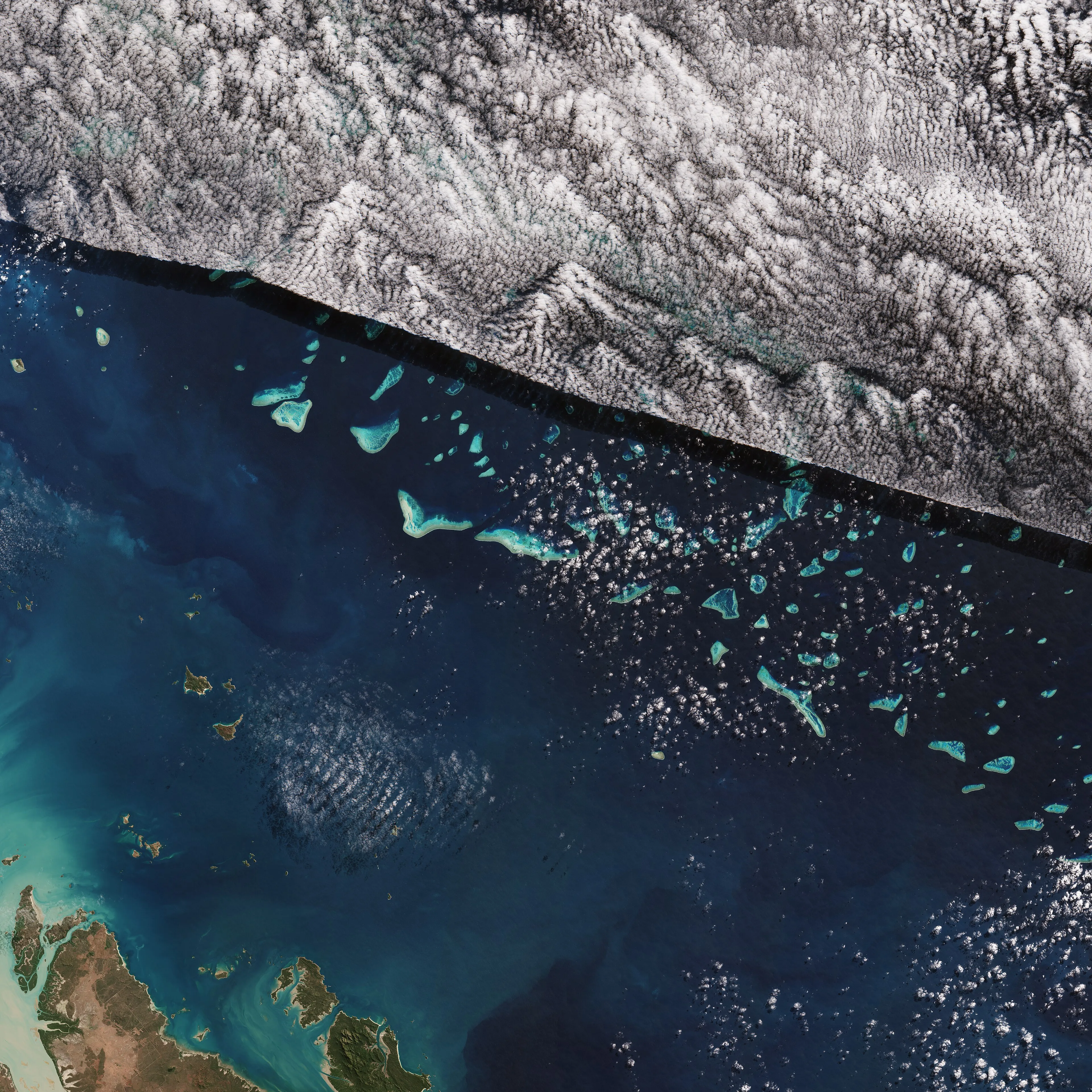Minerva Ledge dive site — reef and marine life near Havelock, Andaman