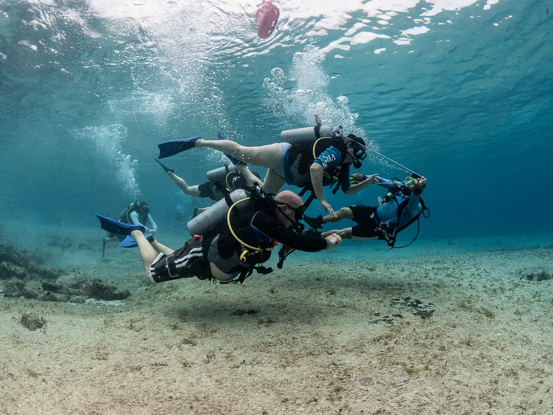 PADI Open Water Diver — eLearning — PADI course in Havelock, Andaman