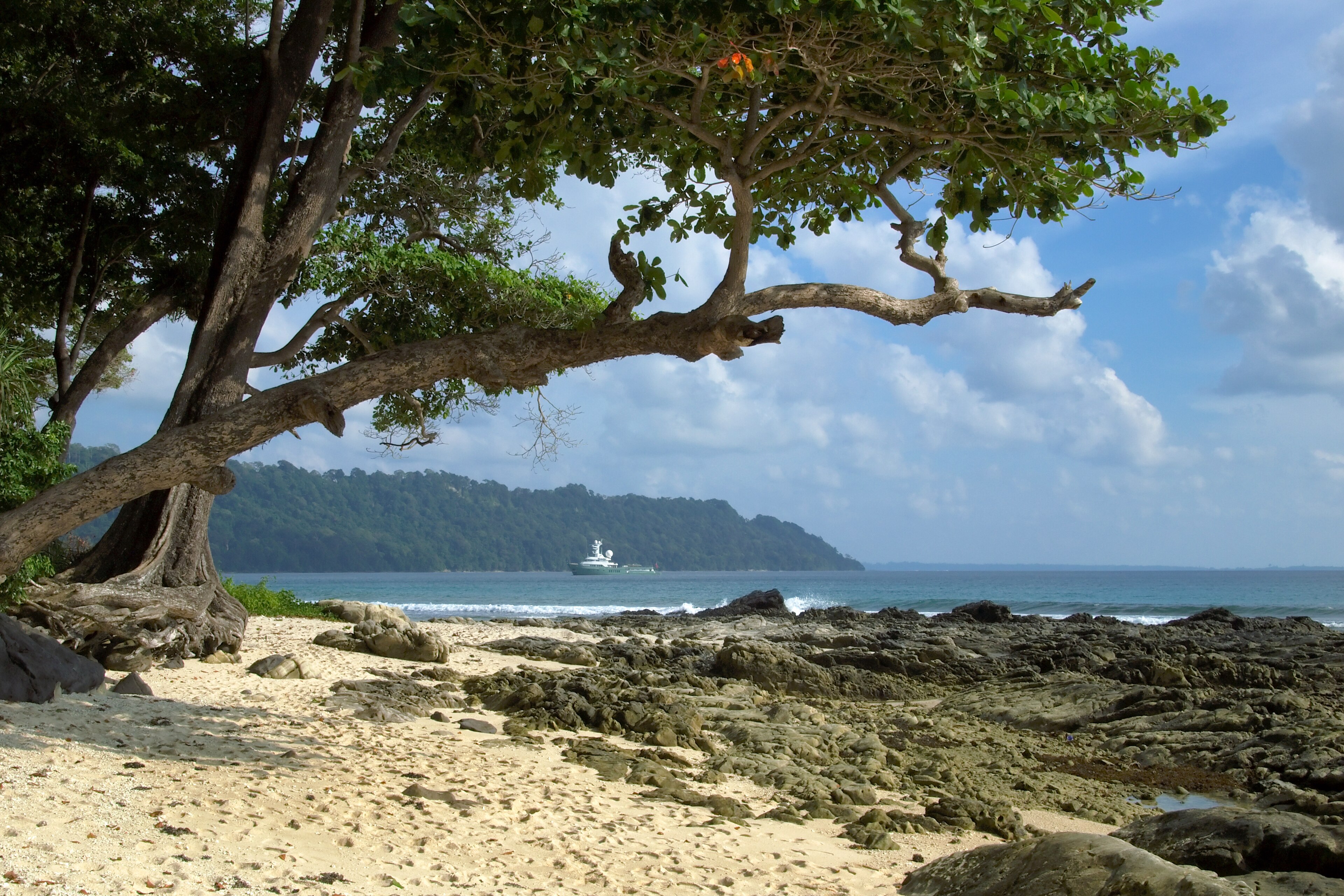 Coral reef and marine life in the waters of Havelock, Andaman