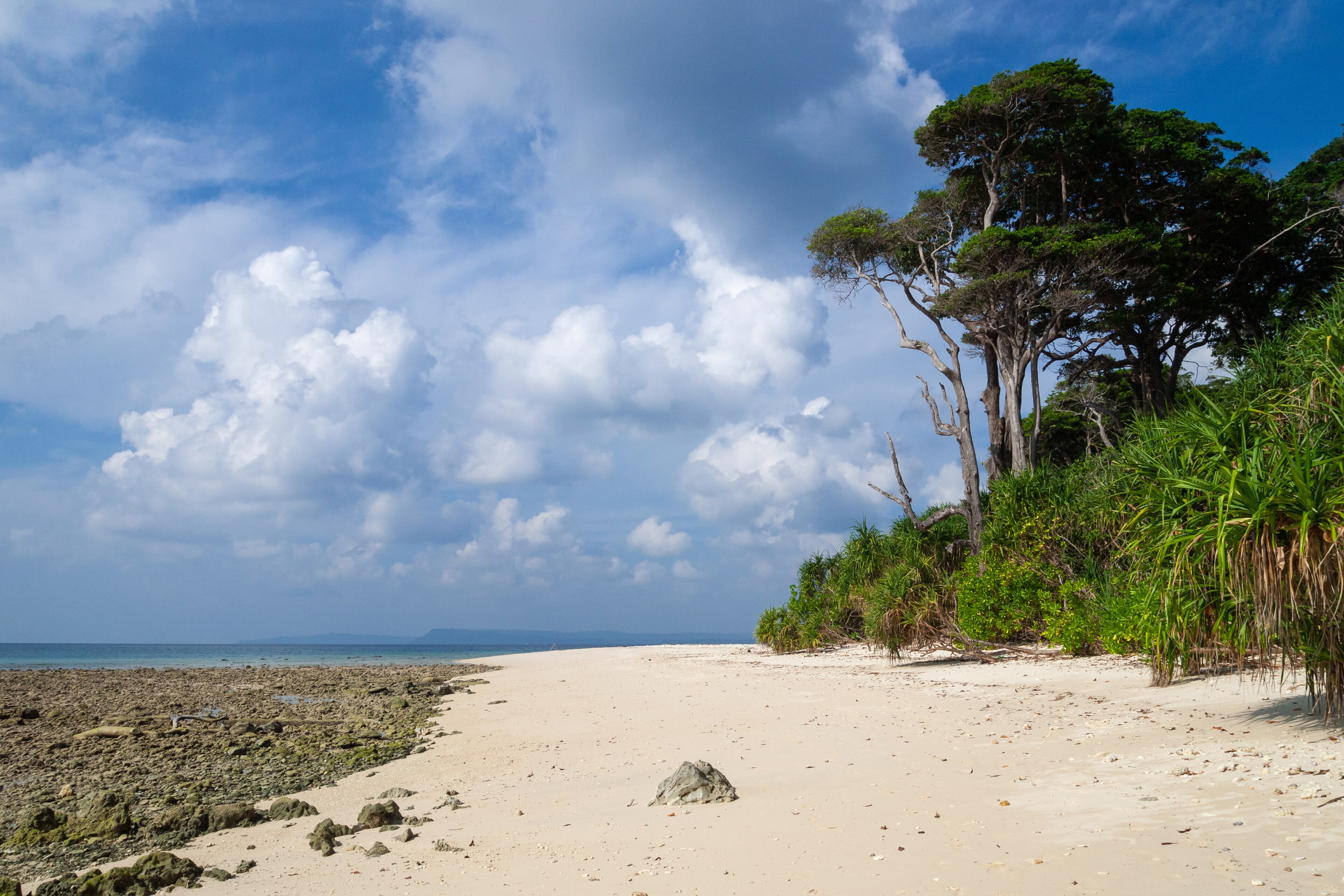Snorkeling at Juvis — scuba diving in Havelock, Andaman
