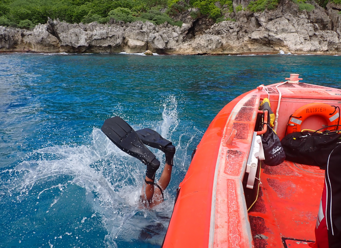 South Button dive site — reef near Havelock, Andaman