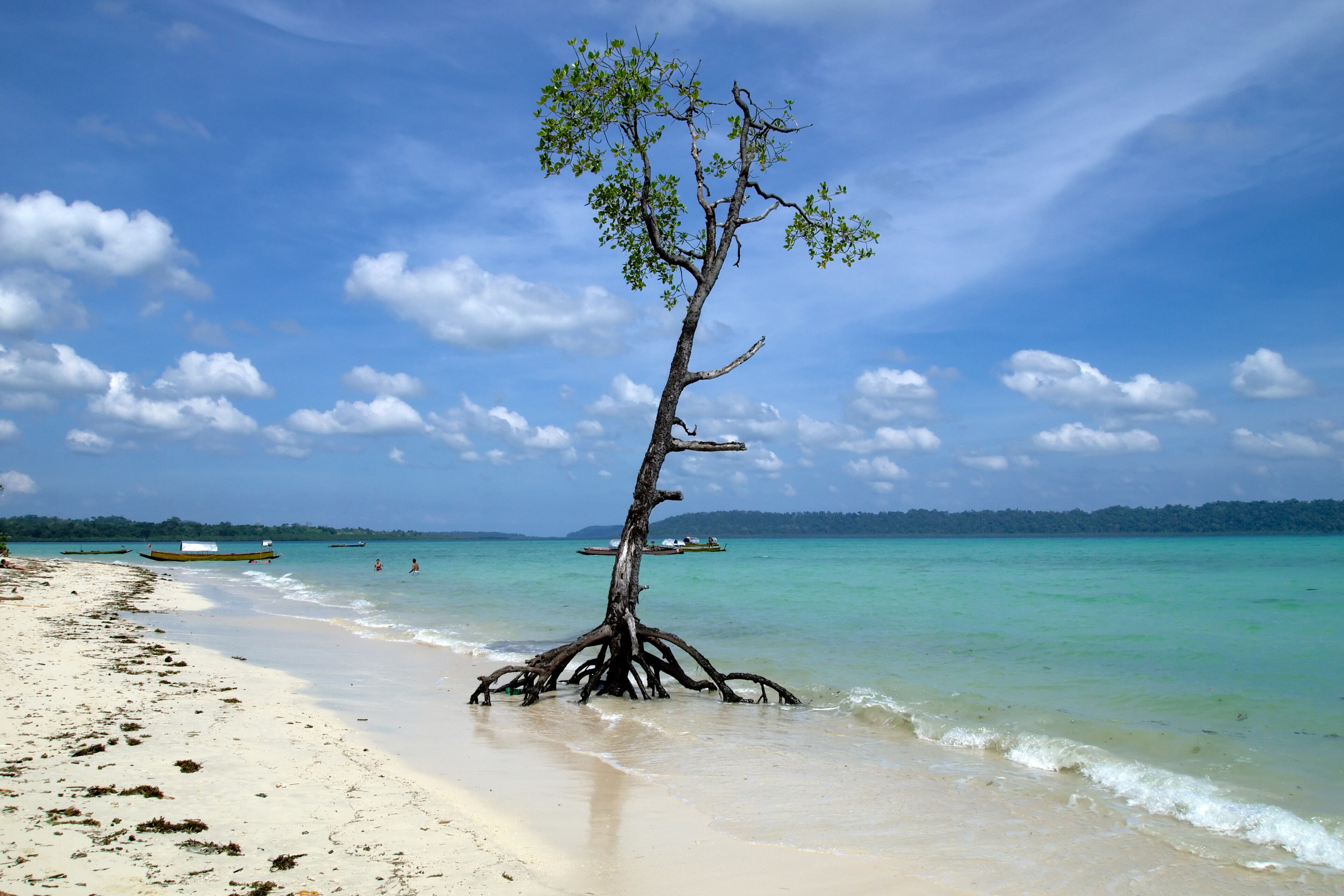 Sunset Cruise — scuba diving in Havelock, Andaman