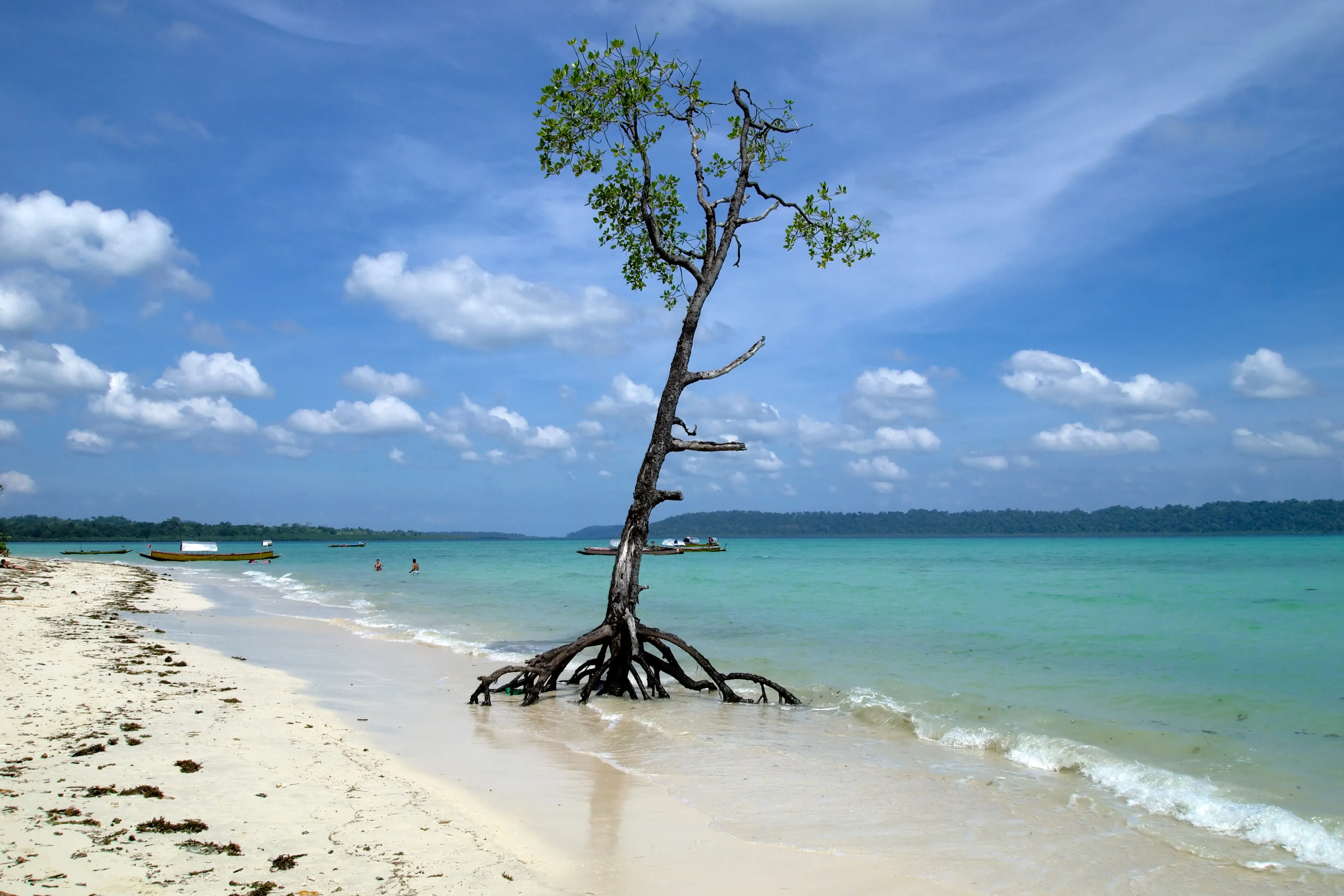 PADI Divemaster — PADI course in Havelock, Andaman
